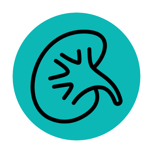 Kidney Care